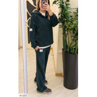 Прогулянковий костюм IP-2655
