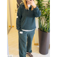 Прогулянковий костюм IP-2656