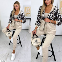 Прогулянковий костюм IP-2727