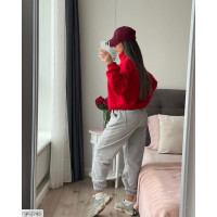 Прогулянковий костюм IP-2743