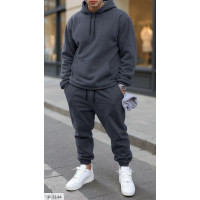 Чоловічий костюм IP-3144