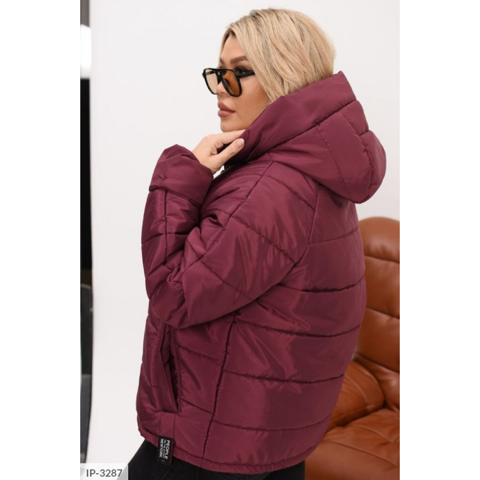 Одяг XL+ IP-3287 — стиль і тепло
