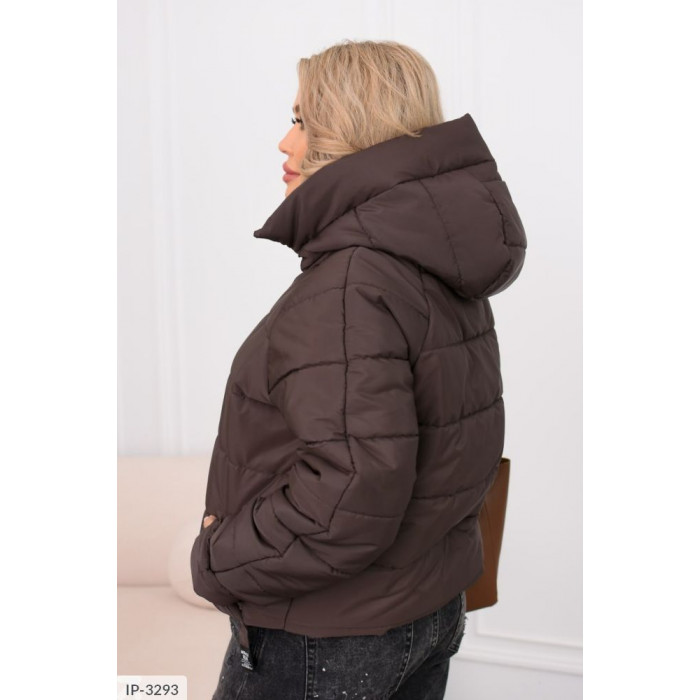 Жіночий верхній одяг Plus Size IP-3293 — тренди 2025