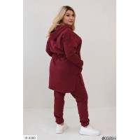 Прогулянковий костюм IP-4380