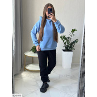 Спортивний костюм IQ-1466