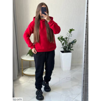 Спортивний костюм IQ-1470