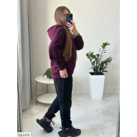 Спортивний костюм IQ-1478