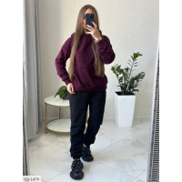 Спортивний костюм IQ-1479