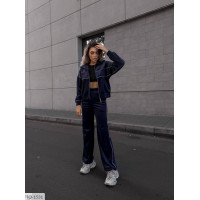 Прогулянковий костюм IQ-1531