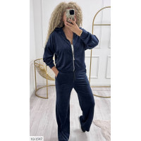 Прогулянковий костюм IQ-1547