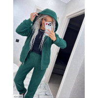 Спортивний костюм IQ-1599