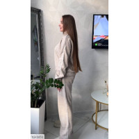 Прогулянковий костюм IQ-1651