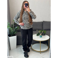 Спортивний костюм IQ-1698