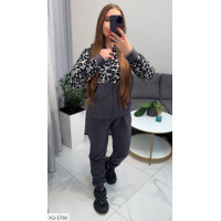 Спортивний костюм IQ-1760