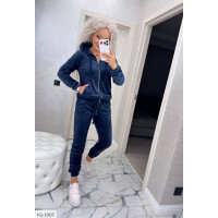 Прогулянковий костюм IQ-1907