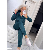 Прогулянковий костюм IQ-1913