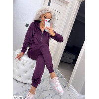 Прогулянковий костюм IQ-1918