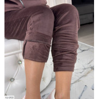 Прогулянковий костюм IQ-1933