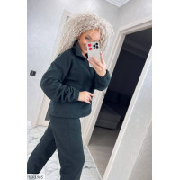 Спортивний костюм IQ-1985