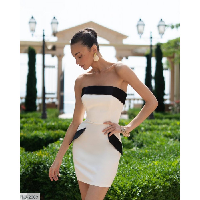 Жіночі сукні IQ-2309 — будь неперевершеною у будь-якій ситуації
