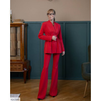 Костюм IQ-2345