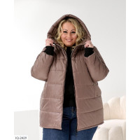 Пальто IQ-2429