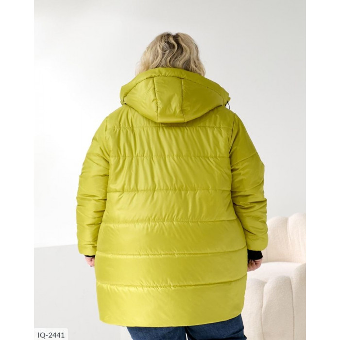 Жіночий верхній одяг Plus Size IQ-2441 — тренди 2025