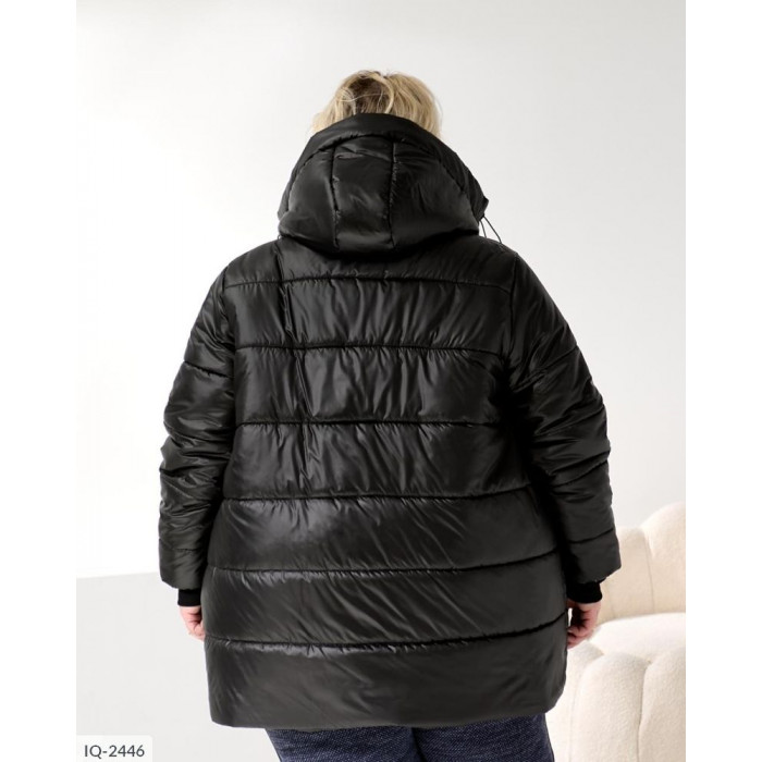 Жіночий верхній одяг Plus Size IQ-2446 — тренди 2025