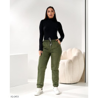 Штани IQ-2453