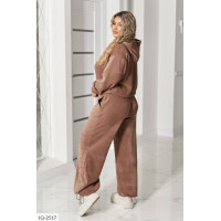 Прогулянковий костюм IQ-2517