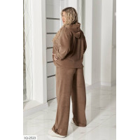 Прогулянковий костюм IQ-2523