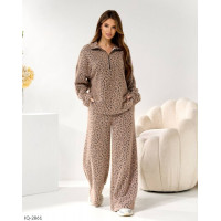 Прогулянковий костюм IQ-2861