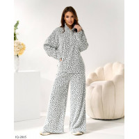 Прогулянковий костюм IQ-2865