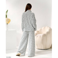 Прогулянковий костюм IQ-2866