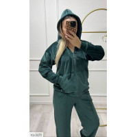 Спортивний костюм IQ-3175