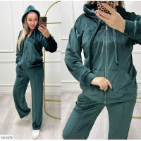 Спортивний костюм IQ-3176