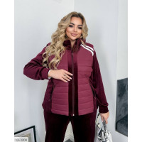 Спортивний костюм IQ-3208