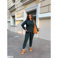 Прогулянковий костюм IQ-4248