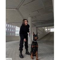 Спортивний костюм IQ-4936