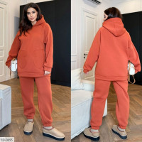 Прогулянковий костюм ID-0695