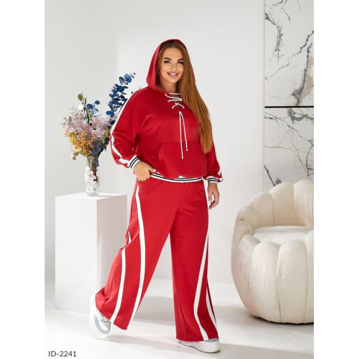 Купити Прогулянковий костюм ID-2241