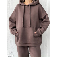 Прогулянковий костюм ID-2626