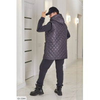 Прогулянковий костюм ID-3344