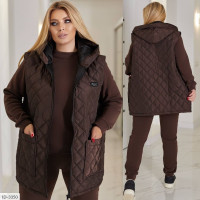 Прогулянковий костюм ID-3350