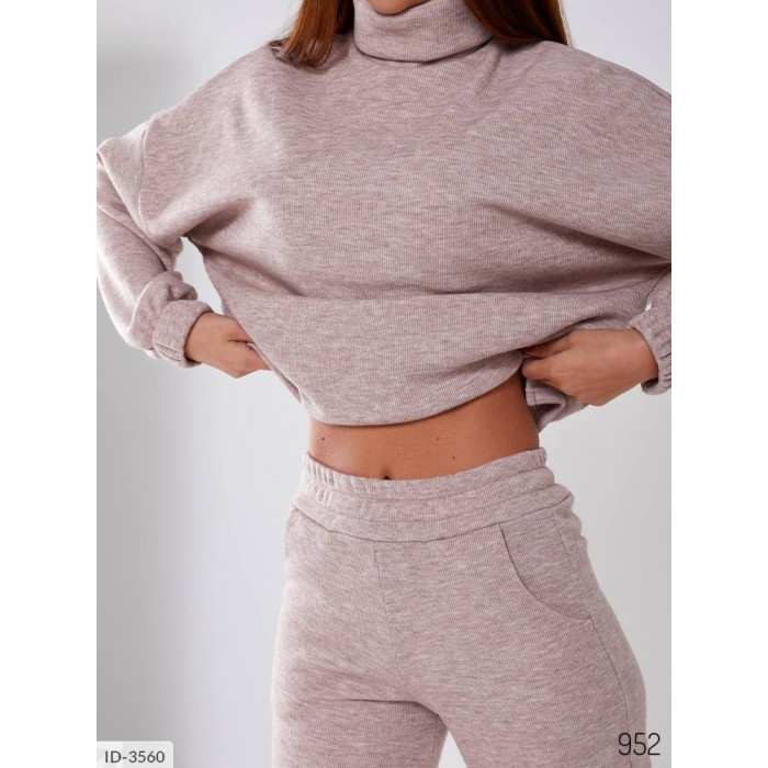 Купити Прогулянковий костюм ID-3560