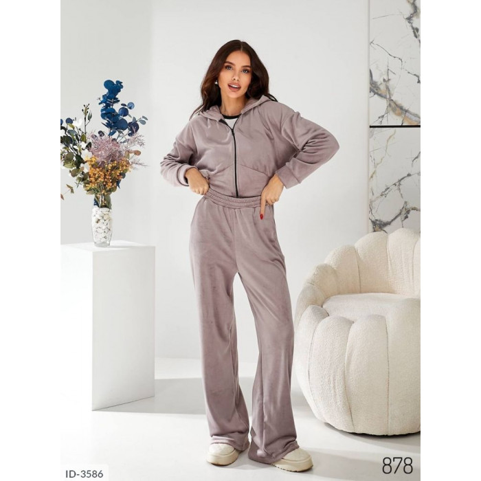 Купити Прогулянковий костюм ID-3586