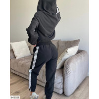 Спортивний костюм IM-8323