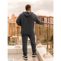 Чоловічий костюм IP-4585