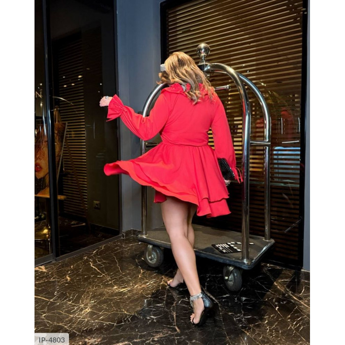 Модні образи для жінок великого розміру IP-4803 — стиль, що надихає