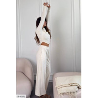 Прогулянковий костюм IP-4896